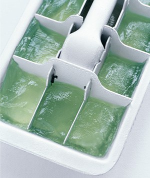 Ice Cube Aloe