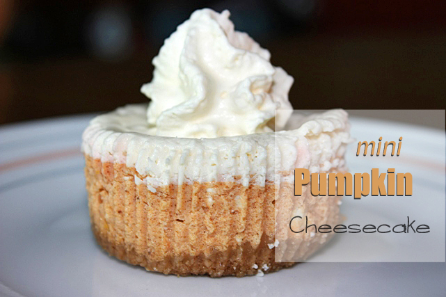 mini-pumpkin-cheesecake