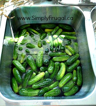 cucumbers