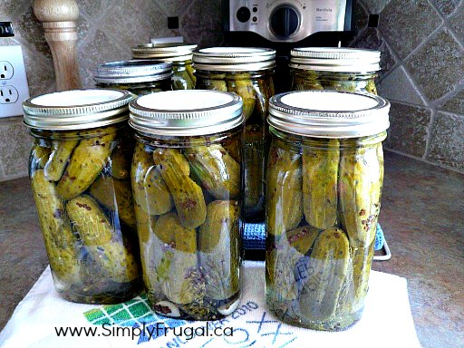 finished pickles