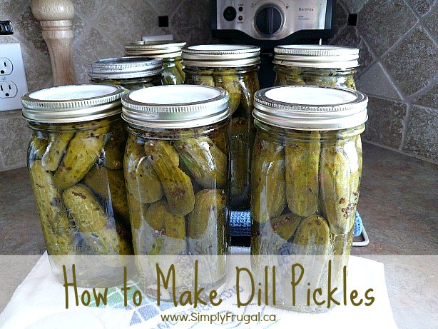 how to make dill pickles