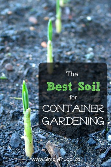 The Best Soil for Container Gardening