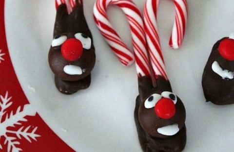 Easy DIY Candy Cane Reindeer