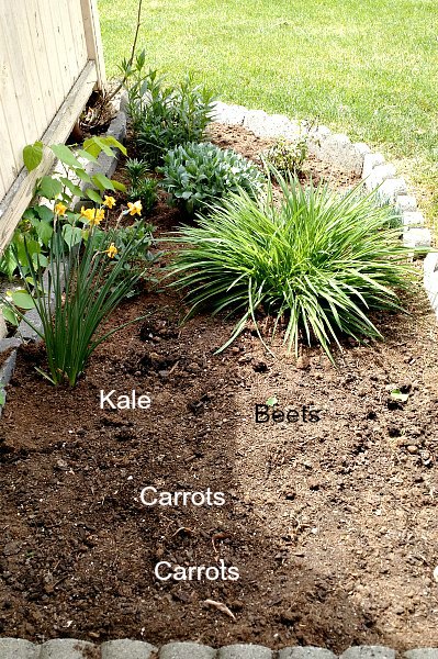 garden diagram 2015