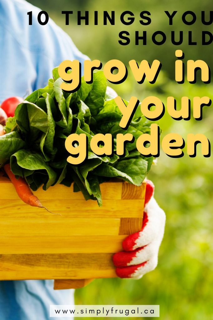 I love this list of 10 things you should grow in your garden this year! #gardening #vegetablegardening