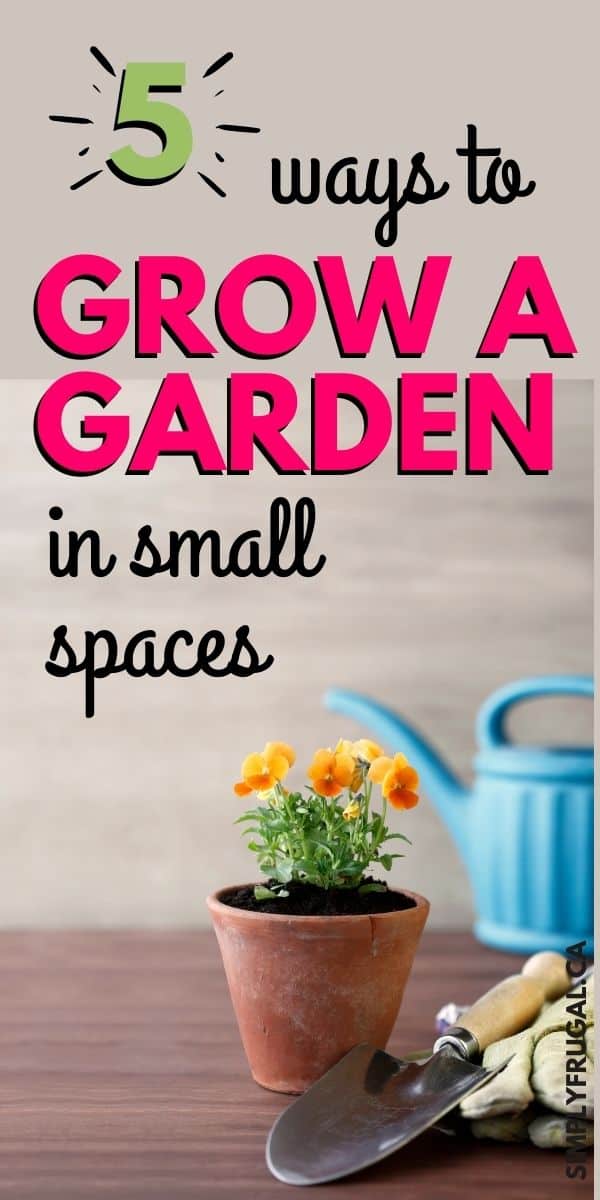 Here are 5 Ways To Grow A Garden In Small Spaces so that you will be able to supplement your groceries as well as bring you the joy of watching a garden grow!